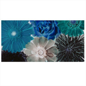 Midnight Bloom