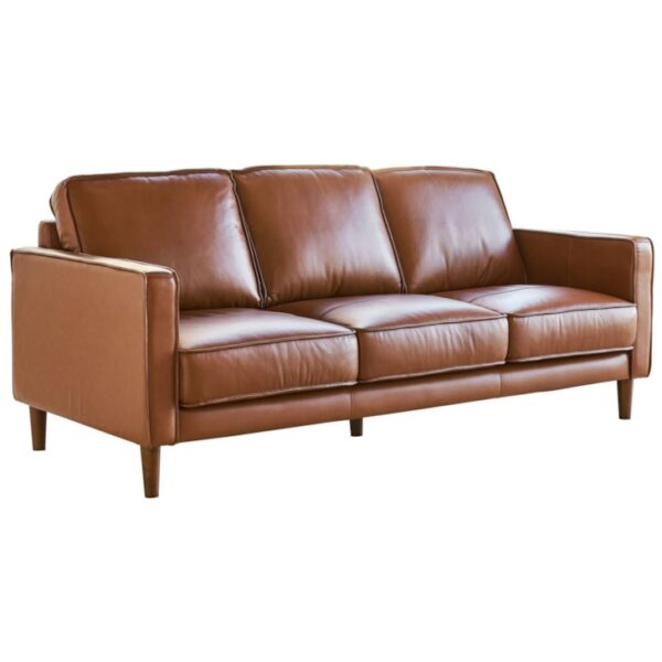 Sofa In Fiero Tan (Top Grain/Pvc)