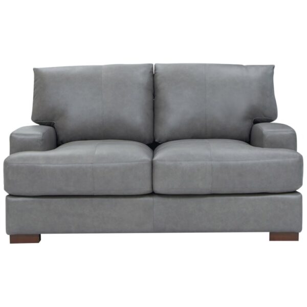 Transitional Reserve Loveseat
