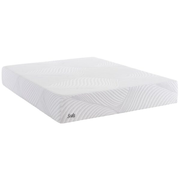 Queen 9" Gel Memory Foam Mattress and Ease Adjustable Base